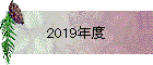 2019ǯ