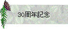30ǯǰ