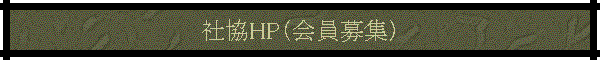 ҶHPʲ罸
