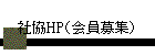 ҶHPʲ罸